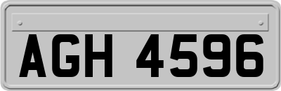 AGH4596