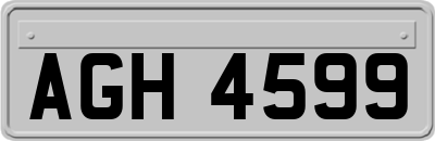 AGH4599