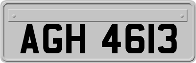 AGH4613