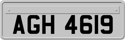AGH4619