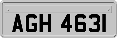 AGH4631