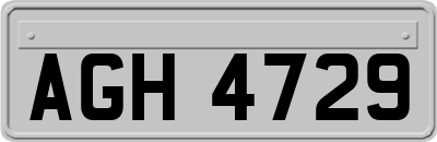 AGH4729