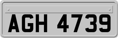 AGH4739