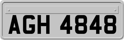 AGH4848