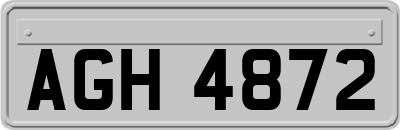 AGH4872