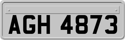 AGH4873