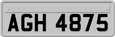 AGH4875