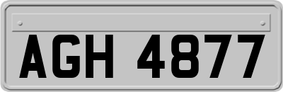 AGH4877