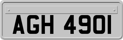 AGH4901