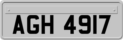 AGH4917
