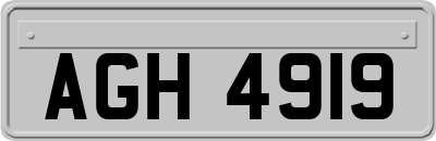 AGH4919