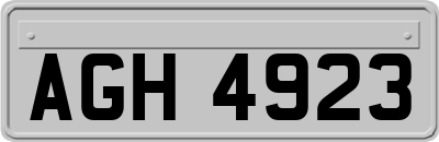 AGH4923
