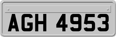 AGH4953