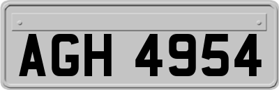 AGH4954