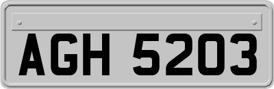 AGH5203