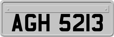 AGH5213