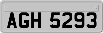 AGH5293