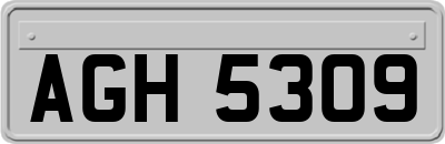 AGH5309
