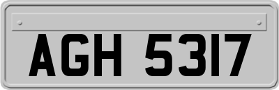 AGH5317
