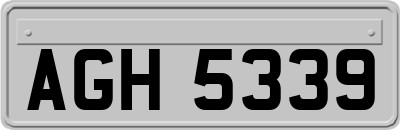 AGH5339