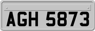AGH5873
