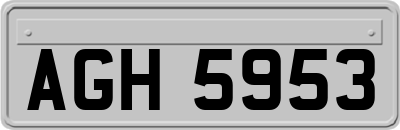 AGH5953