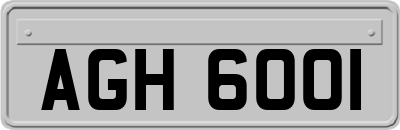 AGH6001