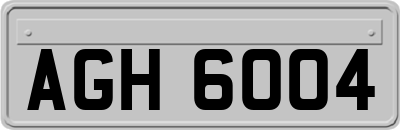 AGH6004