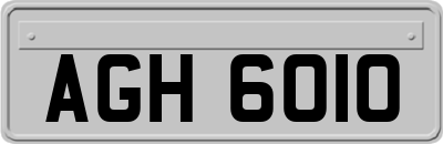 AGH6010