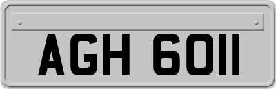 AGH6011