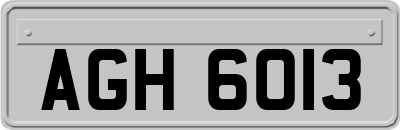AGH6013