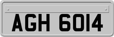 AGH6014