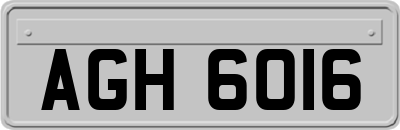AGH6016
