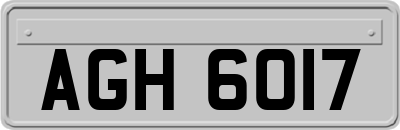AGH6017
