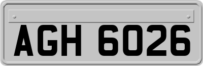 AGH6026