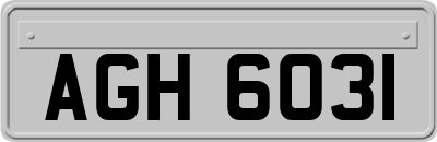 AGH6031