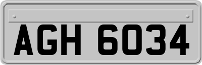 AGH6034