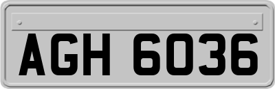 AGH6036