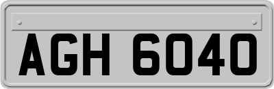 AGH6040