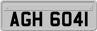 AGH6041