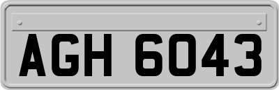 AGH6043