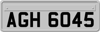 AGH6045