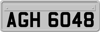 AGH6048