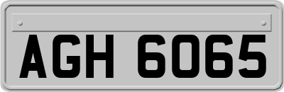 AGH6065