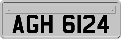 AGH6124