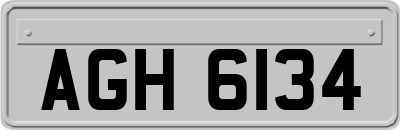 AGH6134