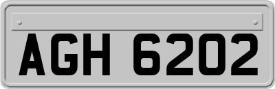 AGH6202