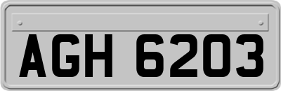 AGH6203