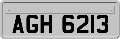AGH6213