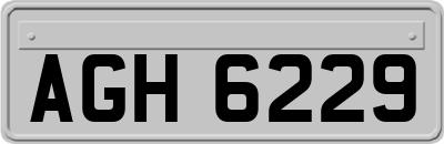 AGH6229